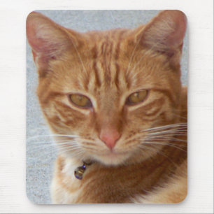 Kattens Älskare_ Musmatta