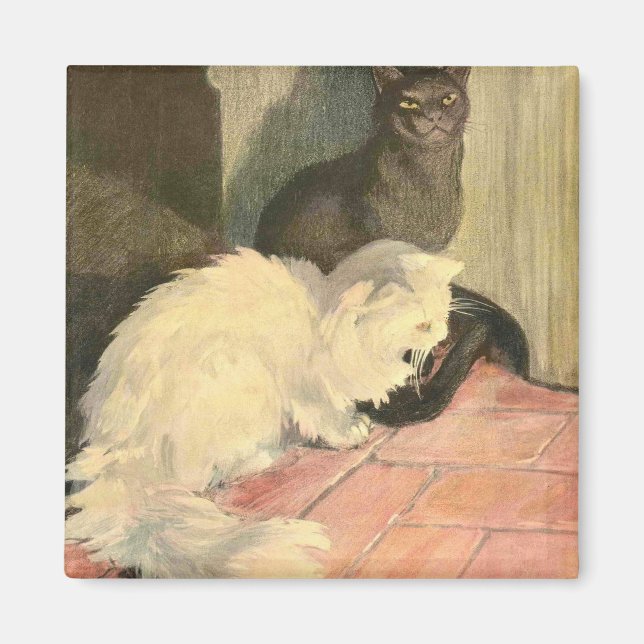 Kattens Bok: Snowball och Ebony Magnet (Framsidan)