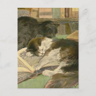 Kattens Bok: Underbar Panjandrum Vykort