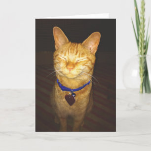 Kattens födelsedag Önskemål Hälsning Kort