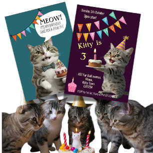Kattens födelsedagsfest Kitten firande inbjudan