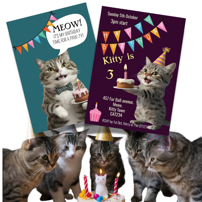 Kattens födelsedagsfest Kitten firande inbjudan (Skapare uppladdad)