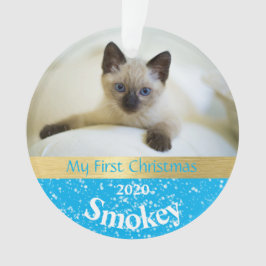 Kattens första julfoto Ornament
