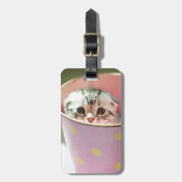 Kattens Gömmande
