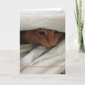 Kattens jackval kort