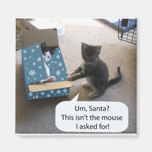Kattens julöverraskning Magnet
