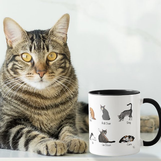 Kattens Kommandon Mugg (Skapare uppladdad)