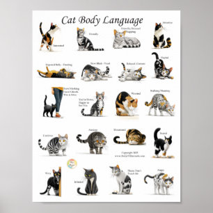 Kattens kroppsspråkskarta poster