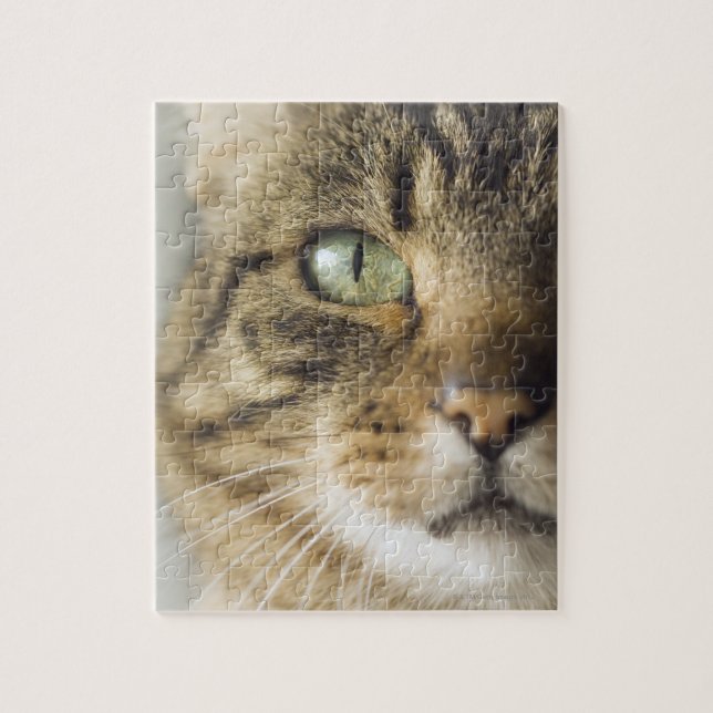 Kattens närhet (fokus på öga) pussel (Vertikal)