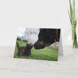 Kattens och hund reklamkort kort
