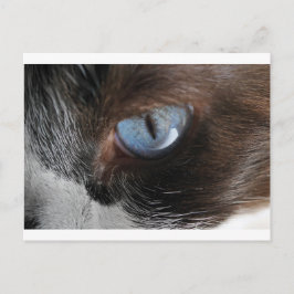 Kattens Öga.JPG Vykort