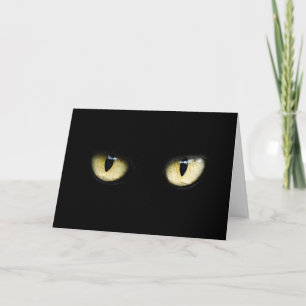 Kattens Öga Kort