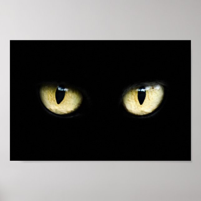 Kattens Öga Poster (Framsidan)