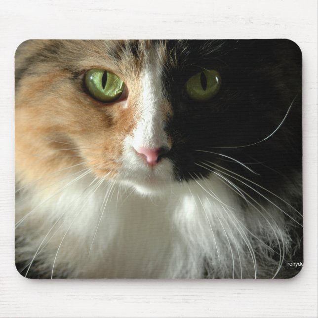 Kattens Ögon Mousepad Musmatta (Framsidan)