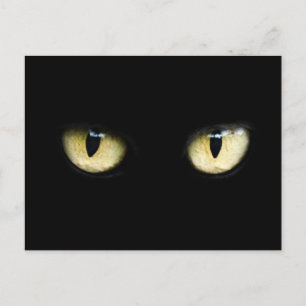 Kattens ögon vykort