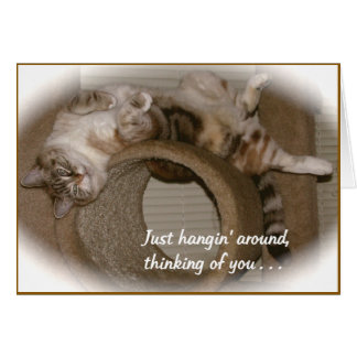 Kattens periwinkle hälsningskort