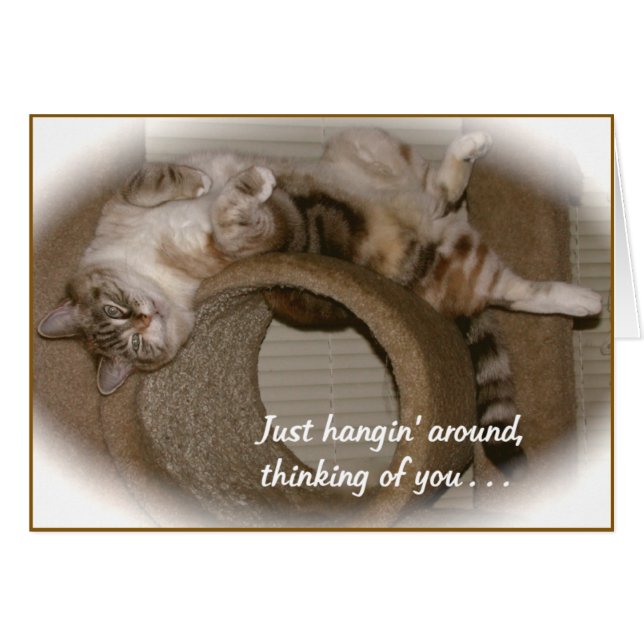 Kattens periwinkle hälsningskort (Framsidan Horizontal)