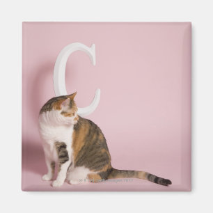 Kattens porträtt magnet