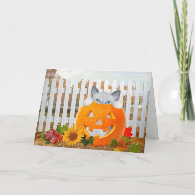 Kattens Pumpkin Playtime Greeting Card Kort (Framsida)