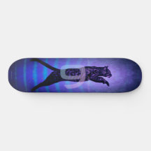 Kattens skateboards 9 liv
