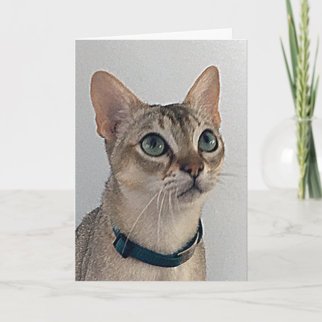 Kattens Snarkiga Ursäkt Födelsedag Kort (Framsida)