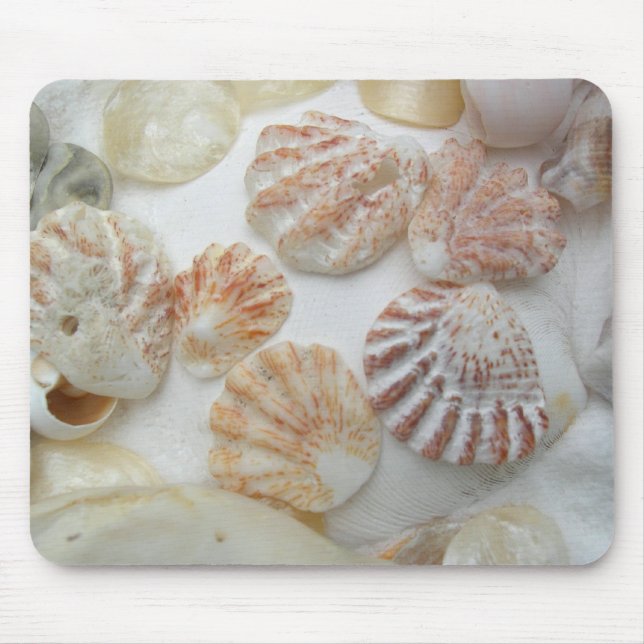 Kattens Tass Seashells Musmatta (Framsidan)