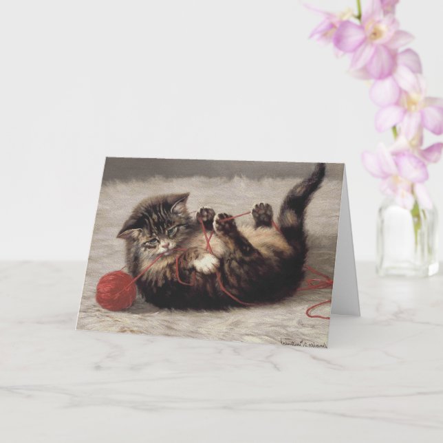 Kattens vagga, en katt som leker med garnnystan kort (Orkide)