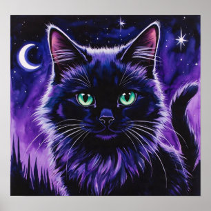 Kattensjam Poster