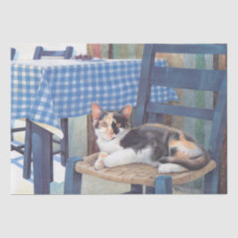 KATTEPAPPER FÖR PÄRRPAPPER