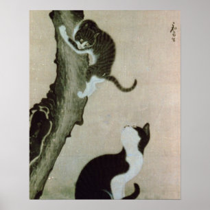 Katter, 1700-talet (bläck vid silke) poster