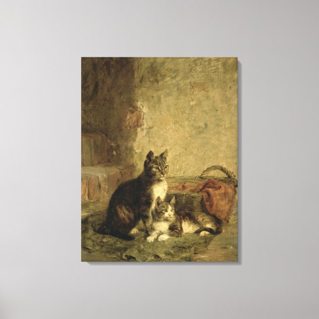 Katter, 1883 canvastryck (Framsida)