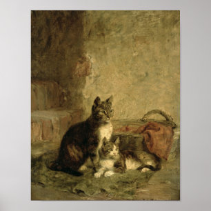 Katter, 1883 poster