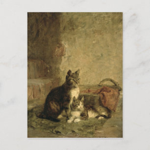 Katter, 1883 vykort
