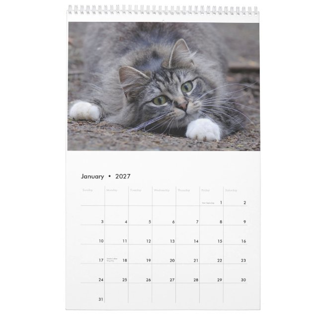 Katter 2014 - En kalender för kattälskare (Jan 2027)