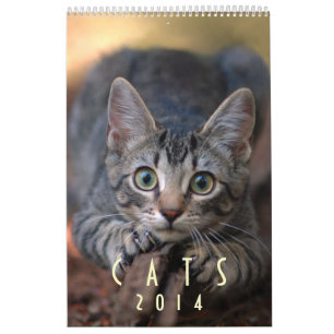 Katter 2014 - En kalender för kattälskare