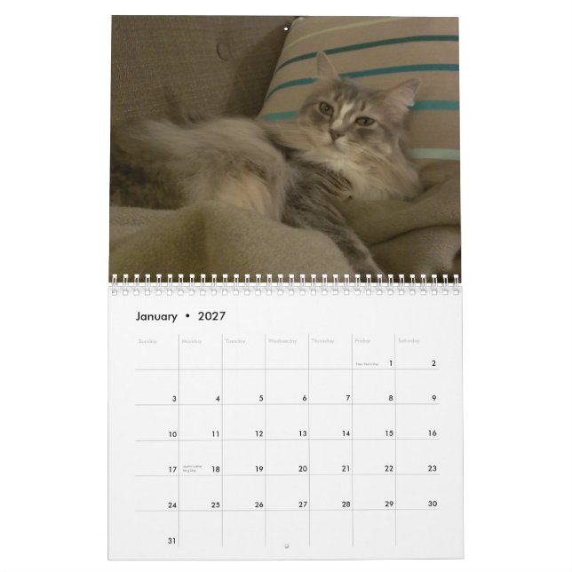 Katter 2015 Marlowe, Peepers & Gryphon Kalender (Jan 2027)