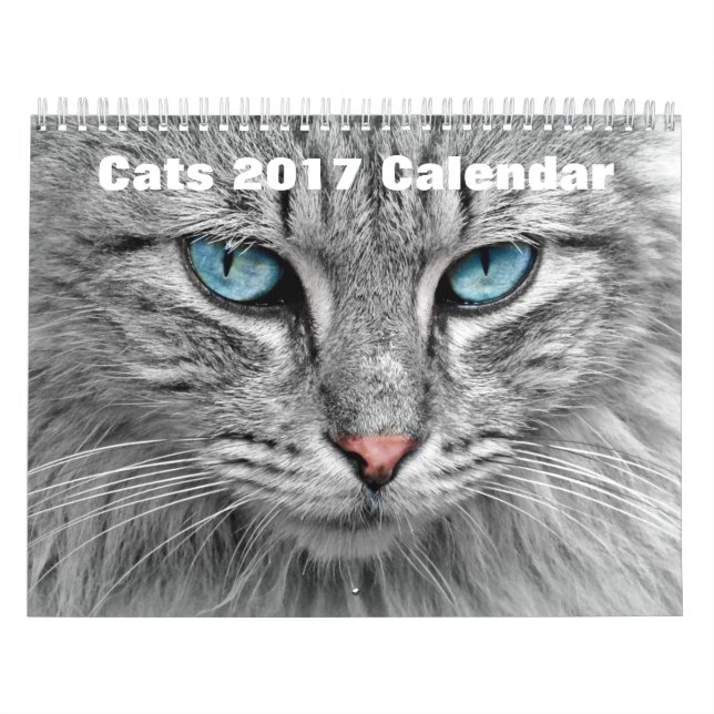 Katter 2017 kalender (Omslag)