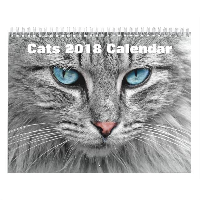Katter 2017 kalender (Omslag)
