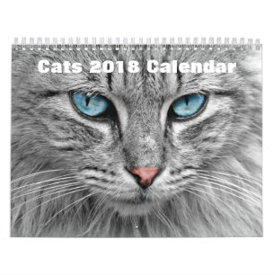 Katter 2017 kalender