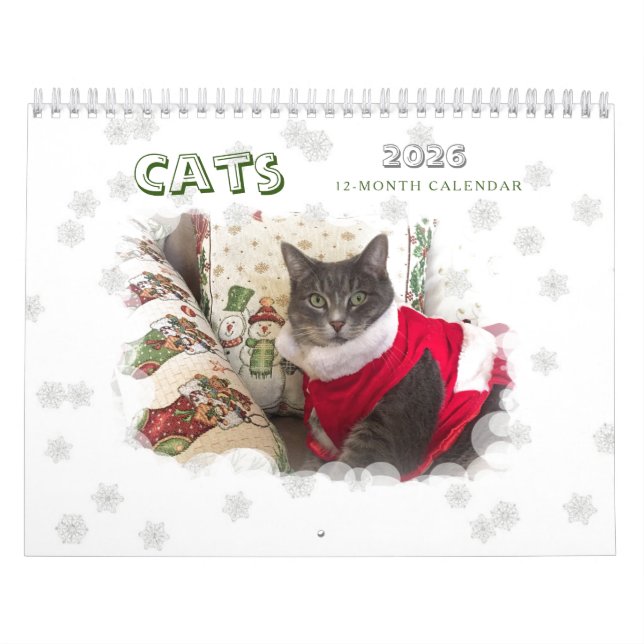 Katter 2024 - kalender (Omslag)