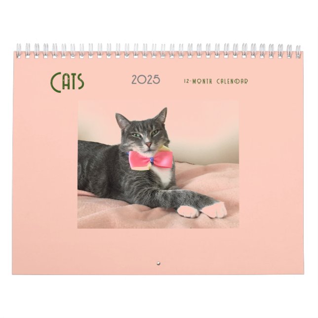 Katter 2025 - kalender (Omslag)