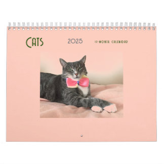 Katter 2025 - kalender