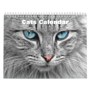 Katter 2025 kalender