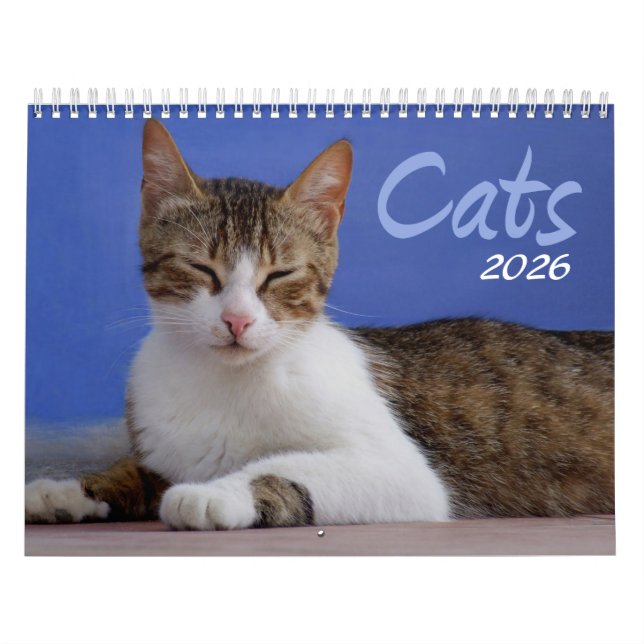 Katter 2026 Fotokalender Kalender (Omslag)
