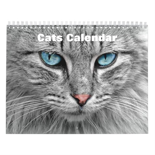 Katter 2027 kalender (Omslag)