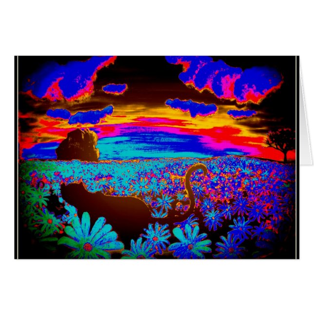 Katter 2 hälsningskort (Framsidan Horizontal)