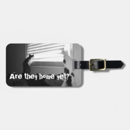 Katter - Abbie & Mo tittar blinderna hänger lös ut Bagagebricka