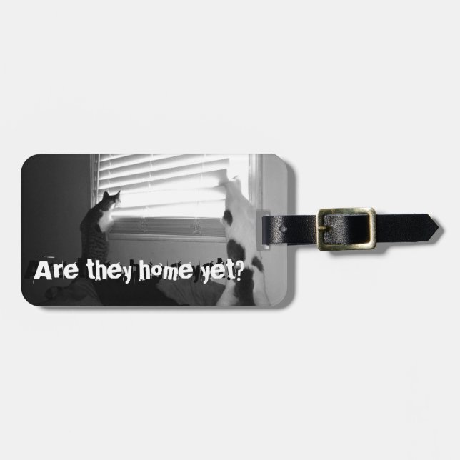 Katter - Abbie & Mo tittar blinderna hänger lös ut Bagagebricka (Horisontell Framsida)