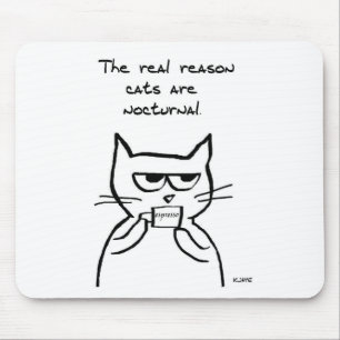 Katter äger rum upp all natt - den roliga musmatta