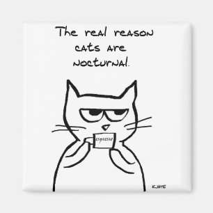 Katter äger rum upp all natt - rolig kattmagnet magnet